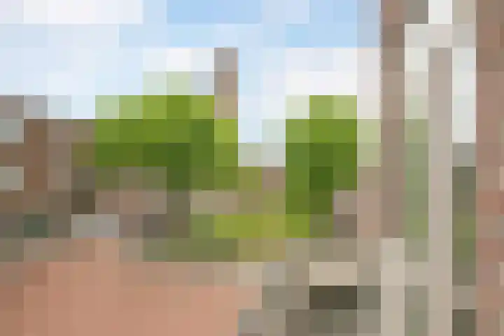 Allard Piersonlaan 11 Den Haag thumbnail 4