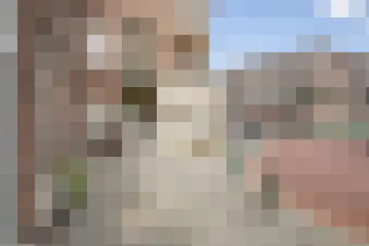 Allard Piersonlaan 11 Den Haag thumbnail 6
