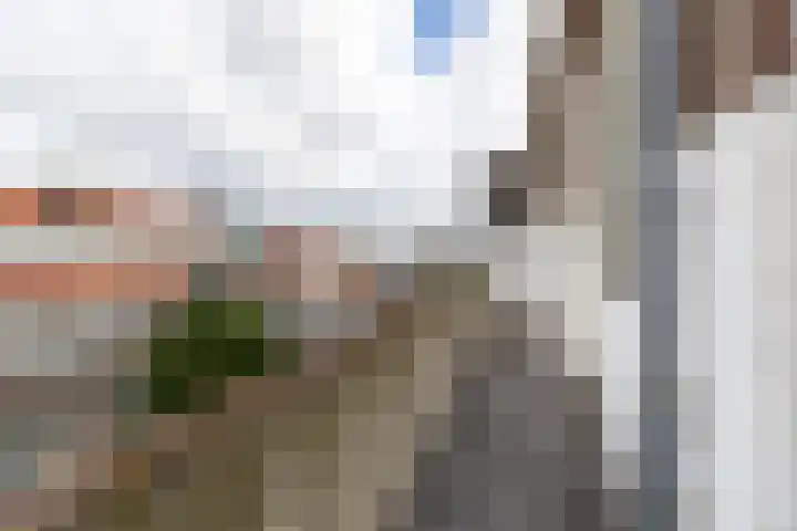 Allard Piersonlaan 152 Den Haag thumbnail 13