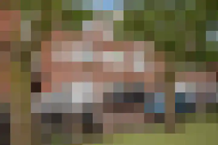 Allard Piersonlaan 185 in Den Haag