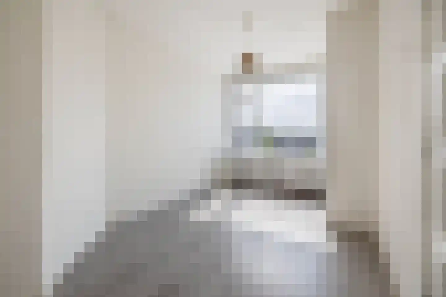 Allard Piersonlaan 203 Den Haag thumbnail 13