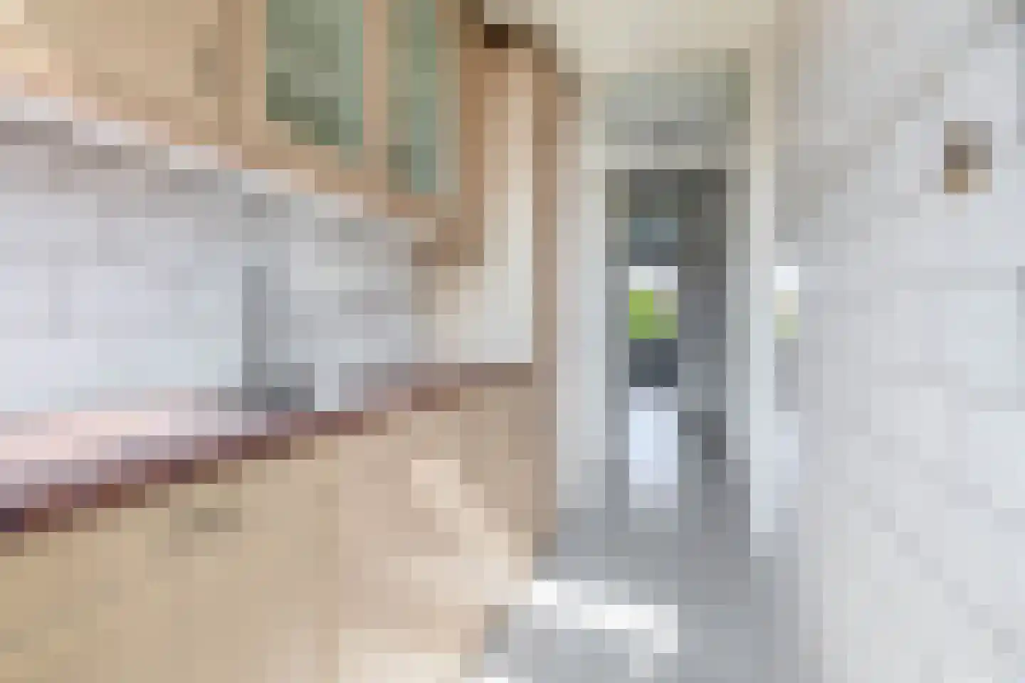 Allard Piersonlaan 203 Den Haag thumbnail 9