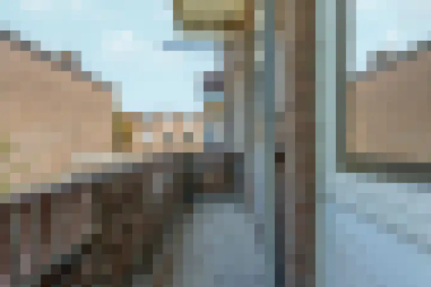 Allard Piersonlaan 211 Den Haag thumbnail 28