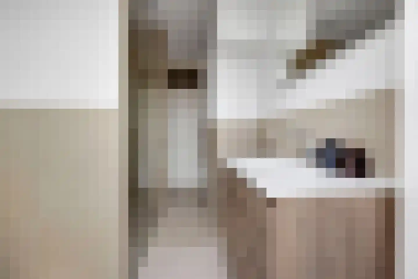 Allard Piersonlaan 263 Den Haag thumbnail 15