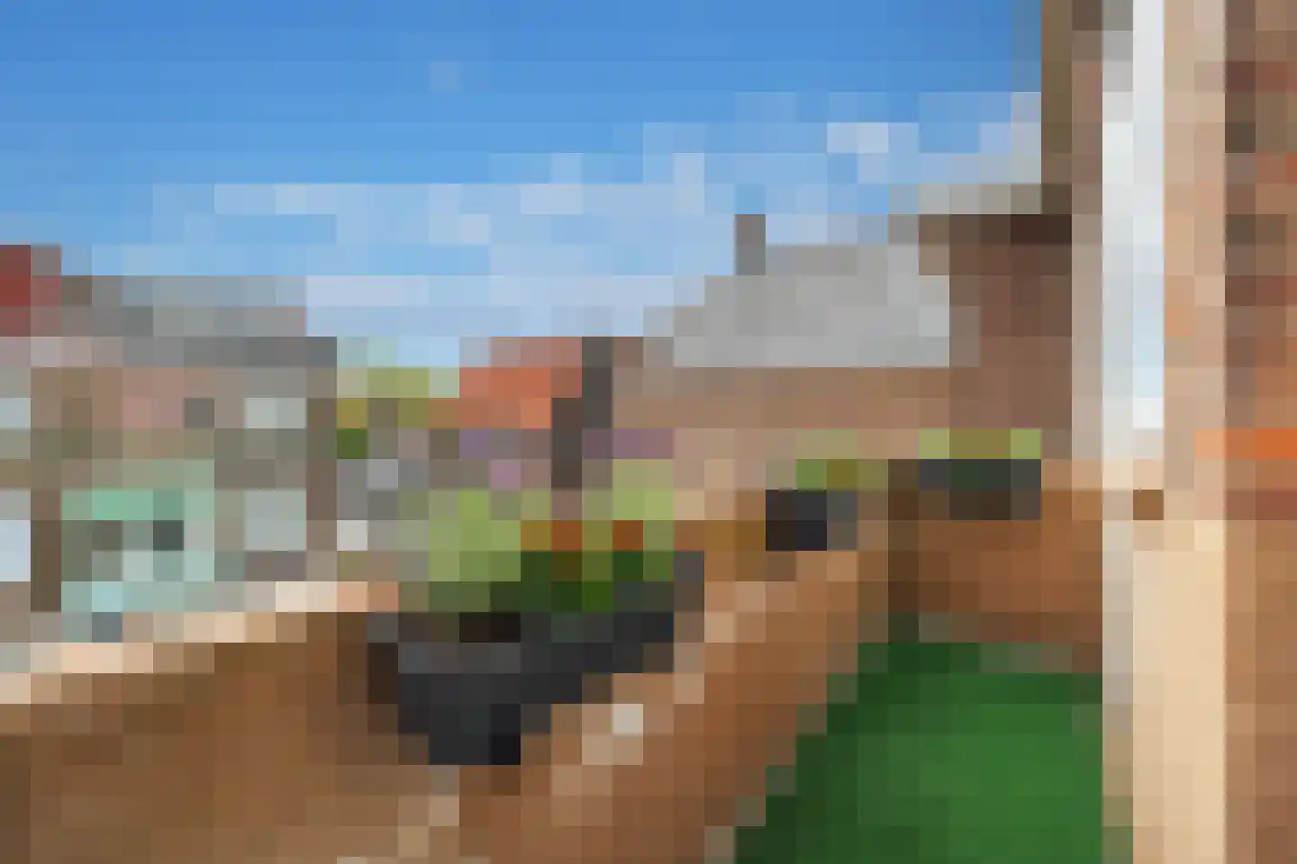 Allard Piersonlaan 38 Den Haag thumbnail 5