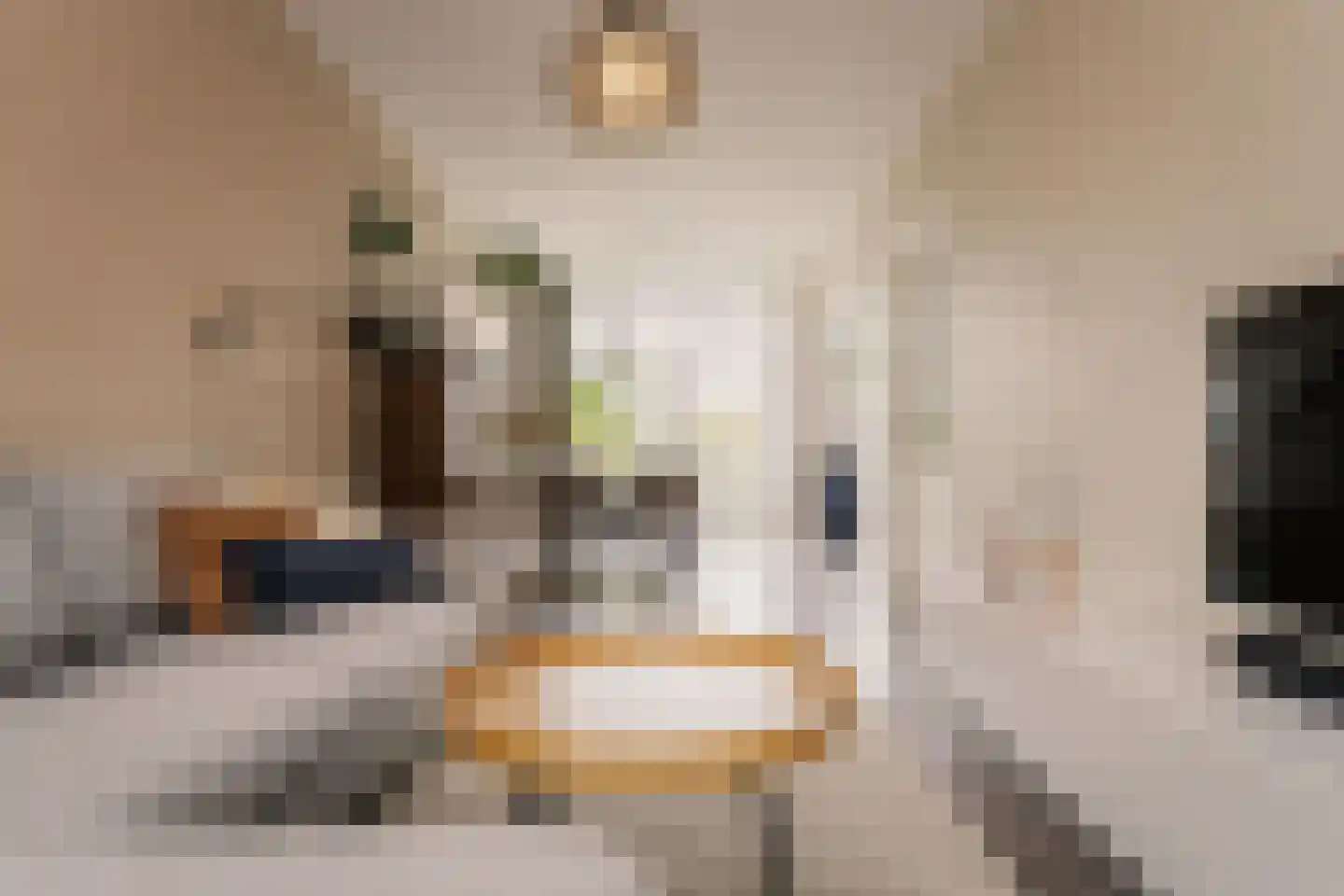 Allard Piersonstraat 13 Haarlem thumbnail 12