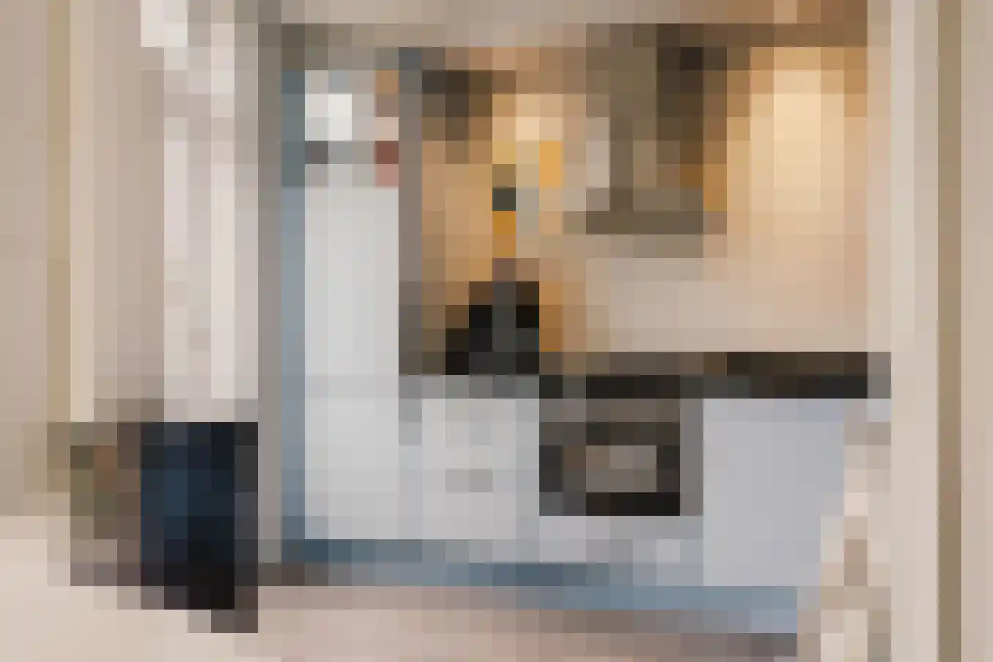 Allard Piersonstraat 13 Haarlem thumbnail 15