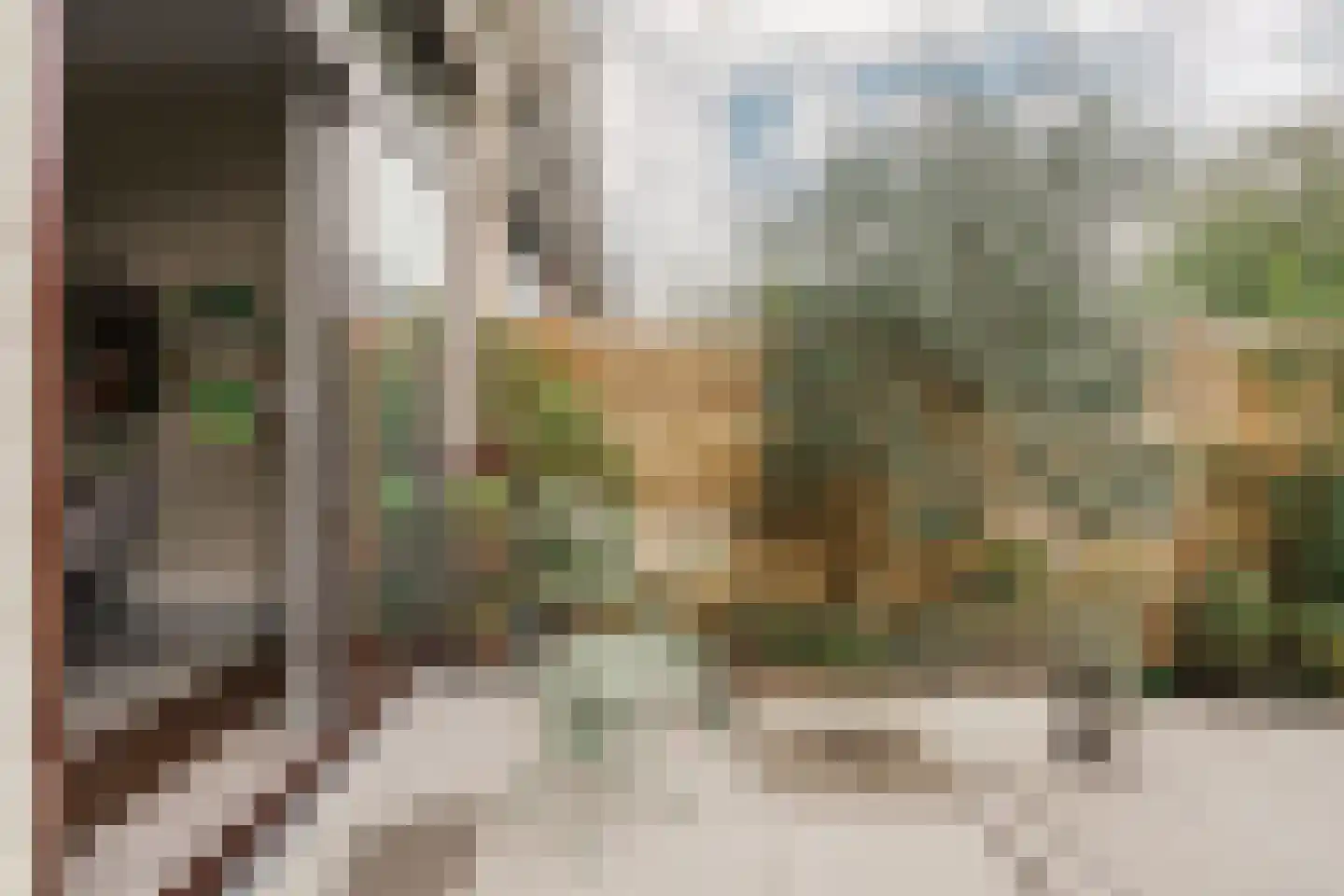 Allard Piersonstraat 13 Haarlem thumbnail 20