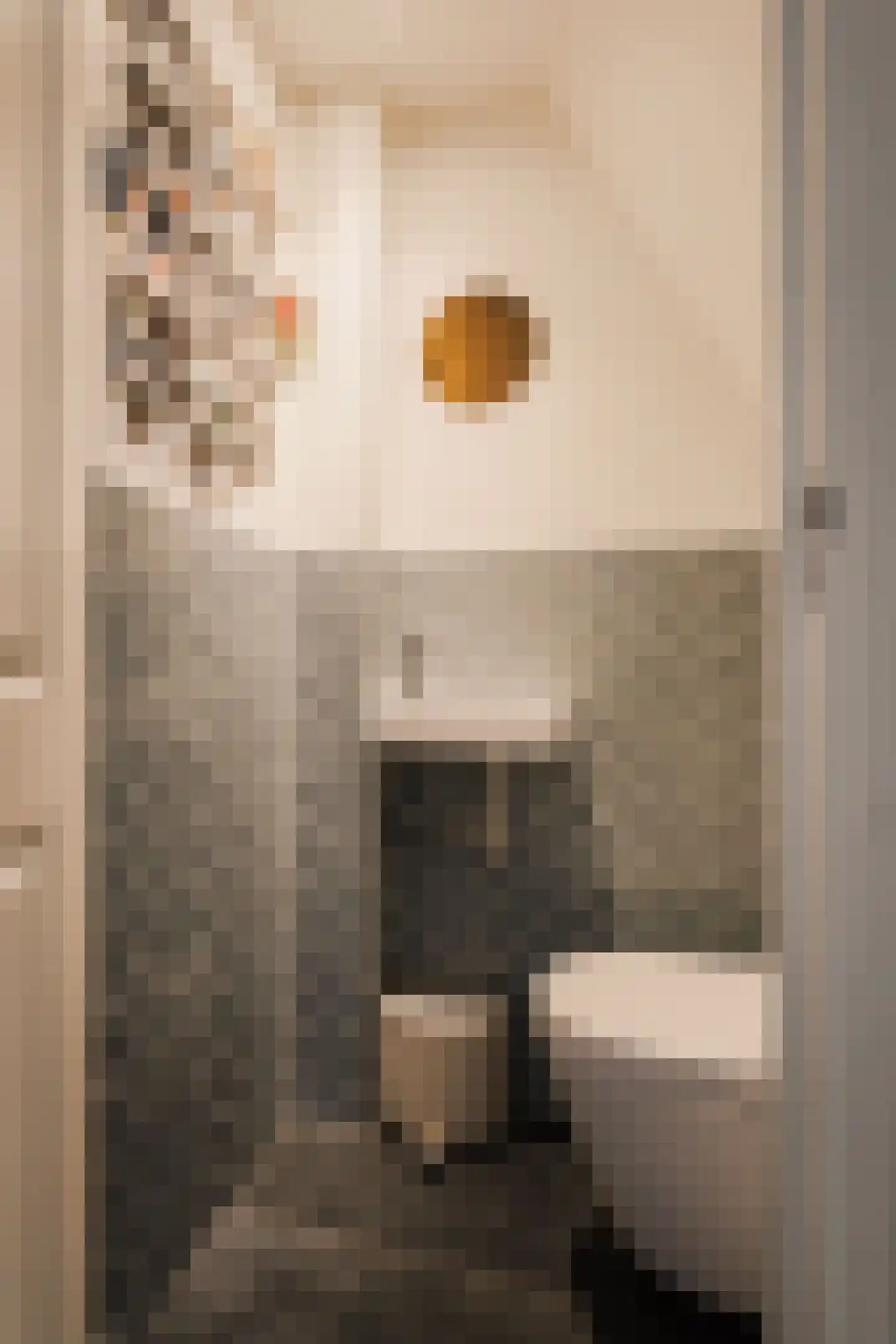 Allard Piersonstraat 13 Haarlem thumbnail 8