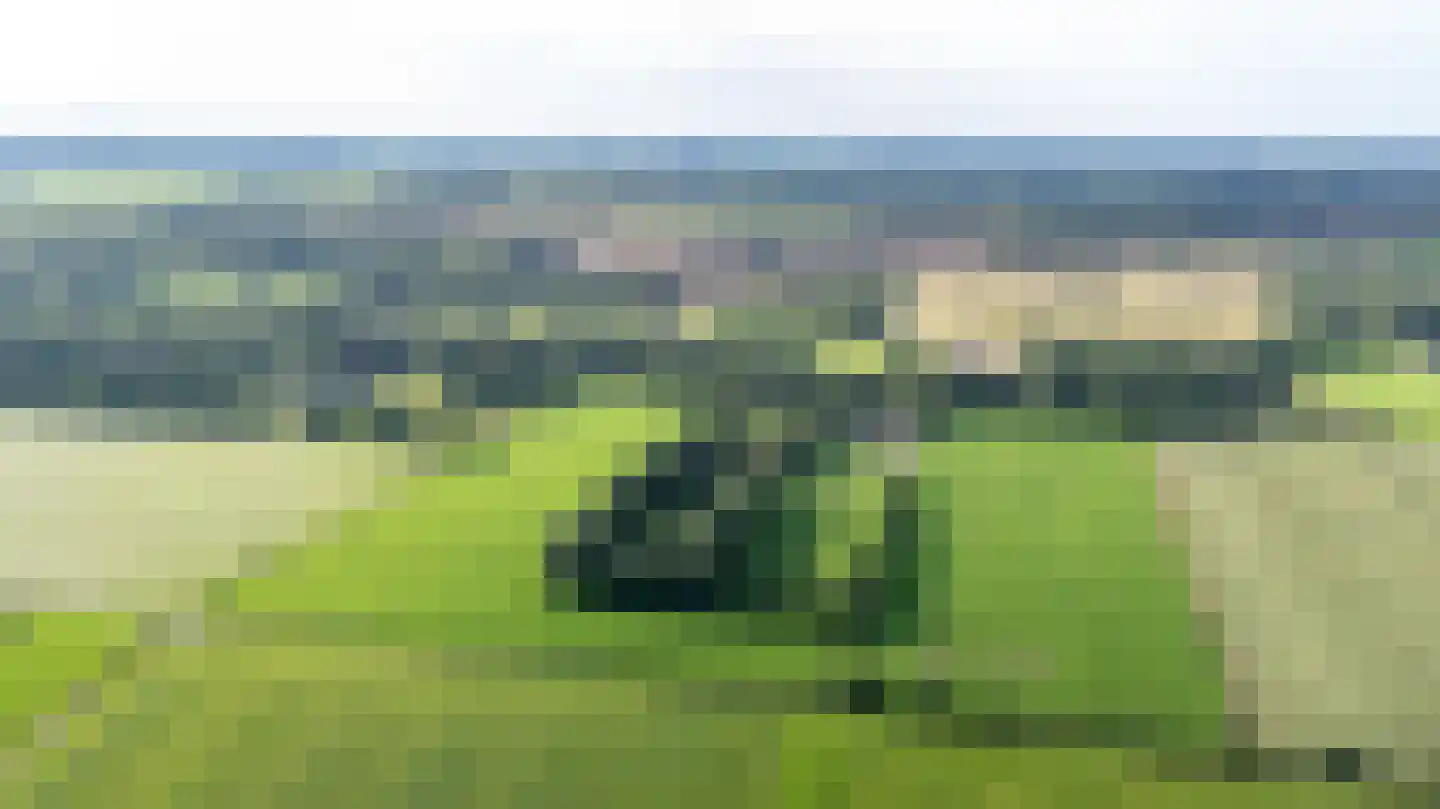 Allardsoogsterweg 11 Zevenhuizen thumbnail 10