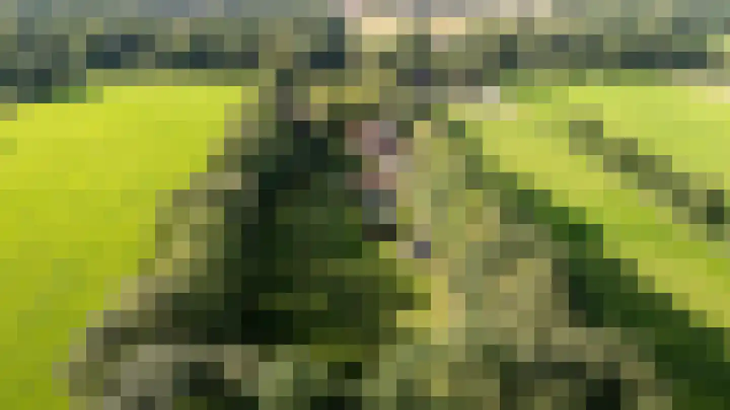 Allardsoogsterweg 11 Zevenhuizen thumbnail 11