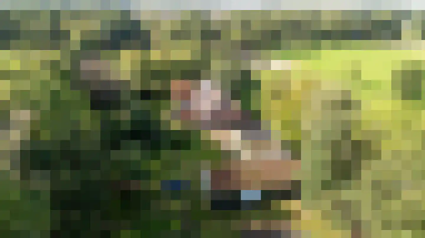 Allardsoogsterweg 11 Zevenhuizen thumbnail 12