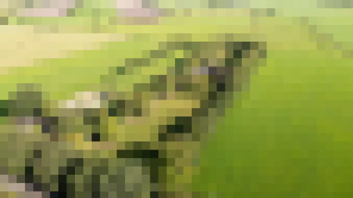 Allardsoogsterweg 11 Zevenhuizen thumbnail 13
