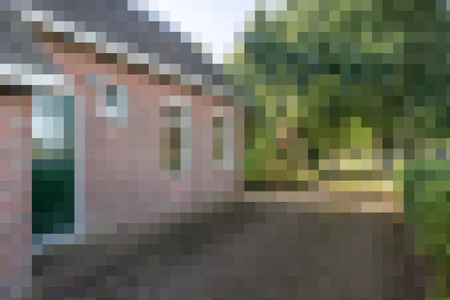 Allardsoogsterweg 11 Zevenhuizen thumbnail 15