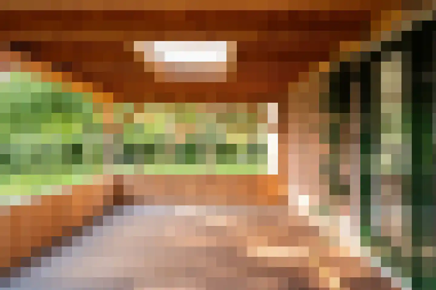 Allardsoogsterweg 11 Zevenhuizen thumbnail 16