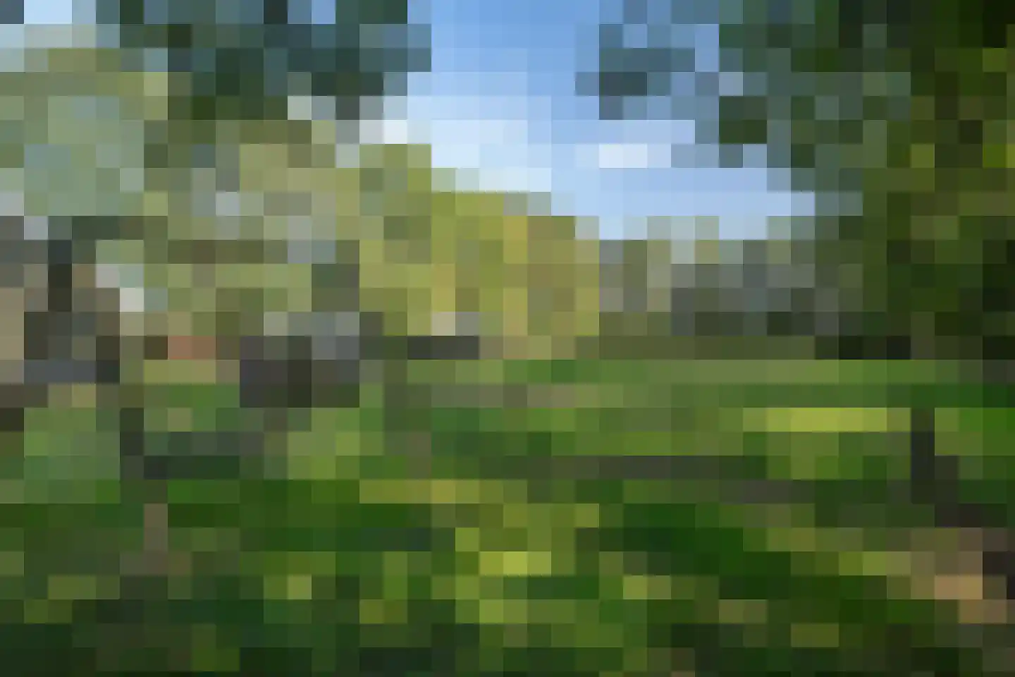 Allardsoogsterweg 11 Zevenhuizen thumbnail 18