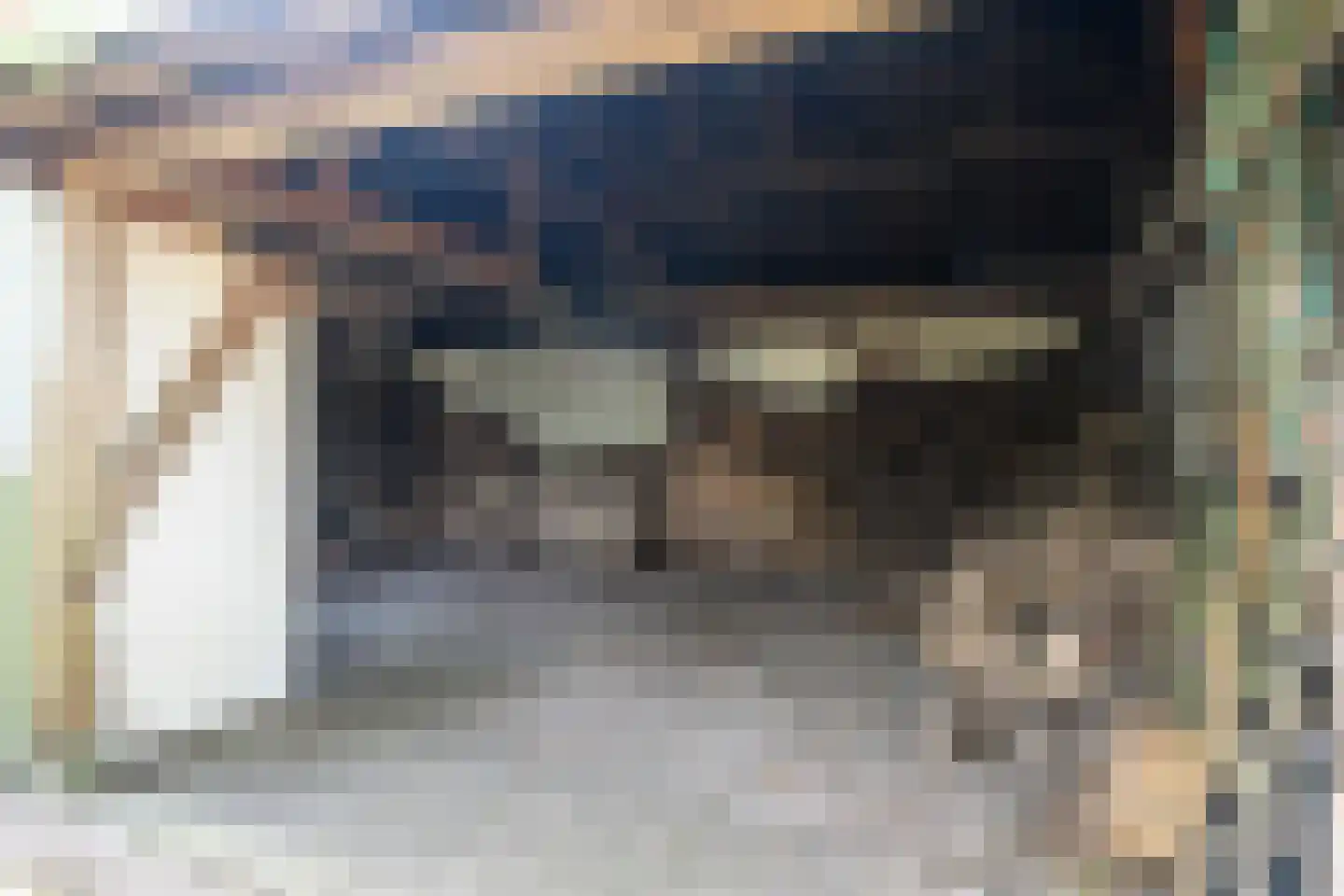 Allardsoogsterweg 11 Zevenhuizen thumbnail 20
