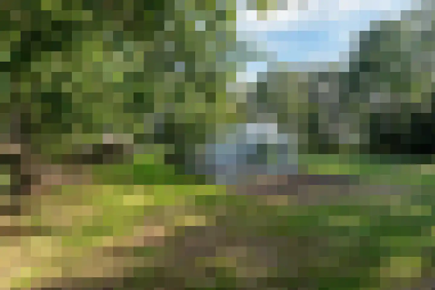 Allardsoogsterweg 11 Zevenhuizen thumbnail 21