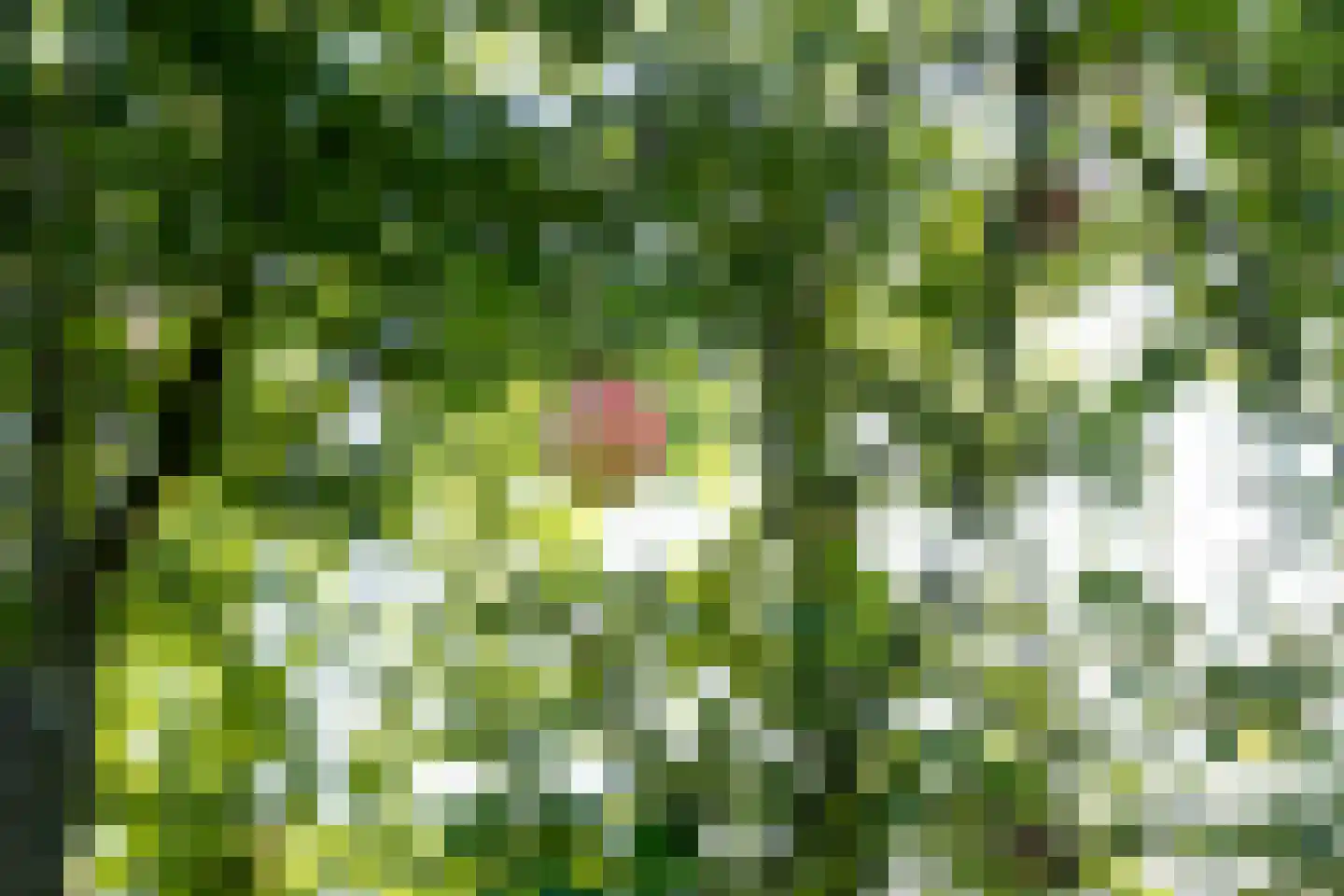 Allardsoogsterweg 11 Zevenhuizen thumbnail 22
