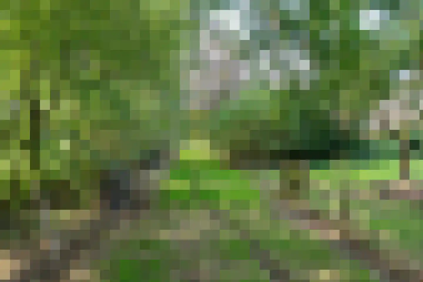 Allardsoogsterweg 11 Zevenhuizen thumbnail 23