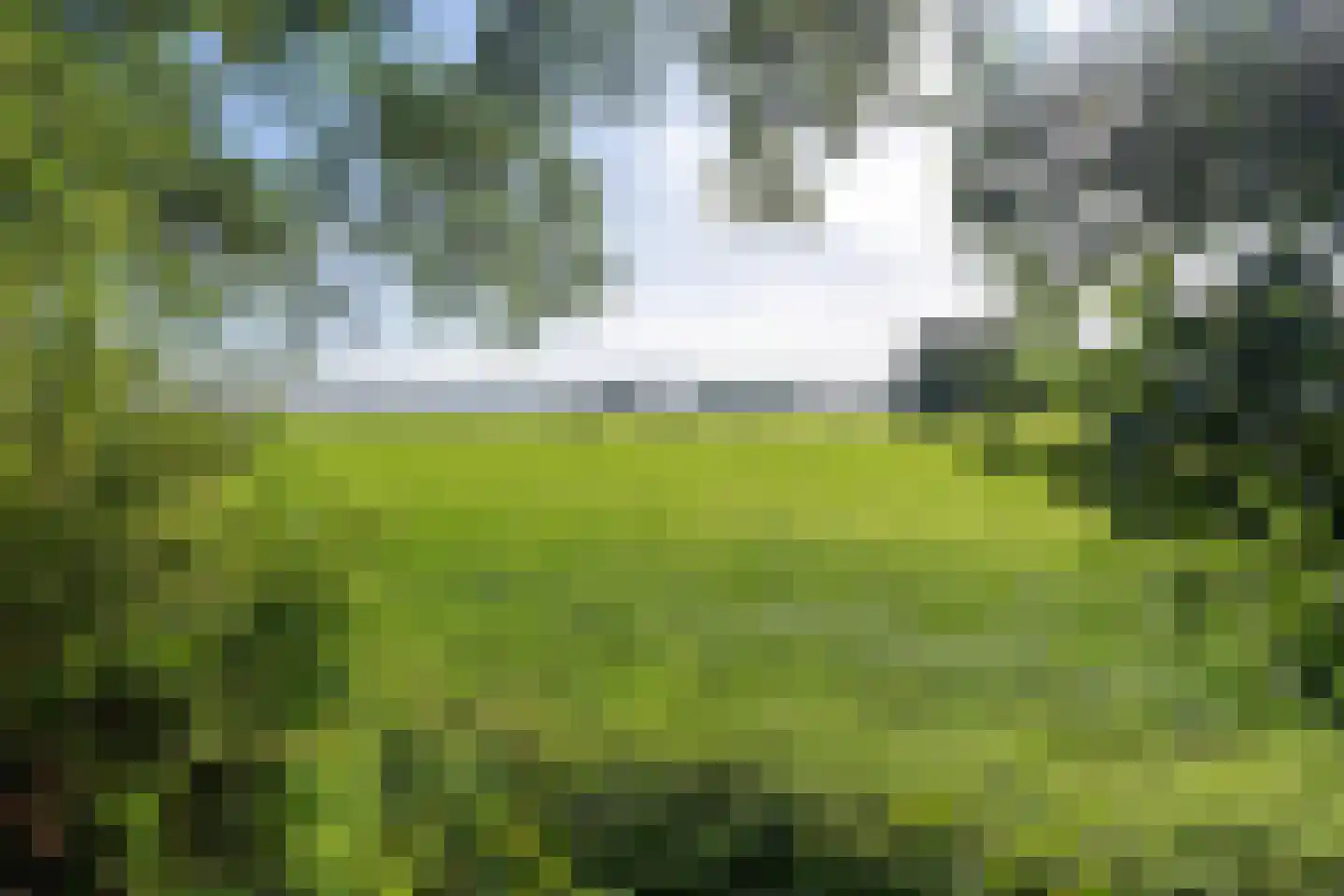 Allardsoogsterweg 11 Zevenhuizen thumbnail 24