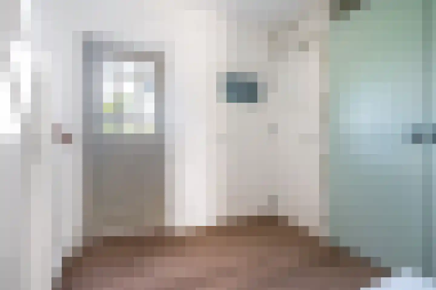 Allardsoogsterweg 11 Zevenhuizen thumbnail 25