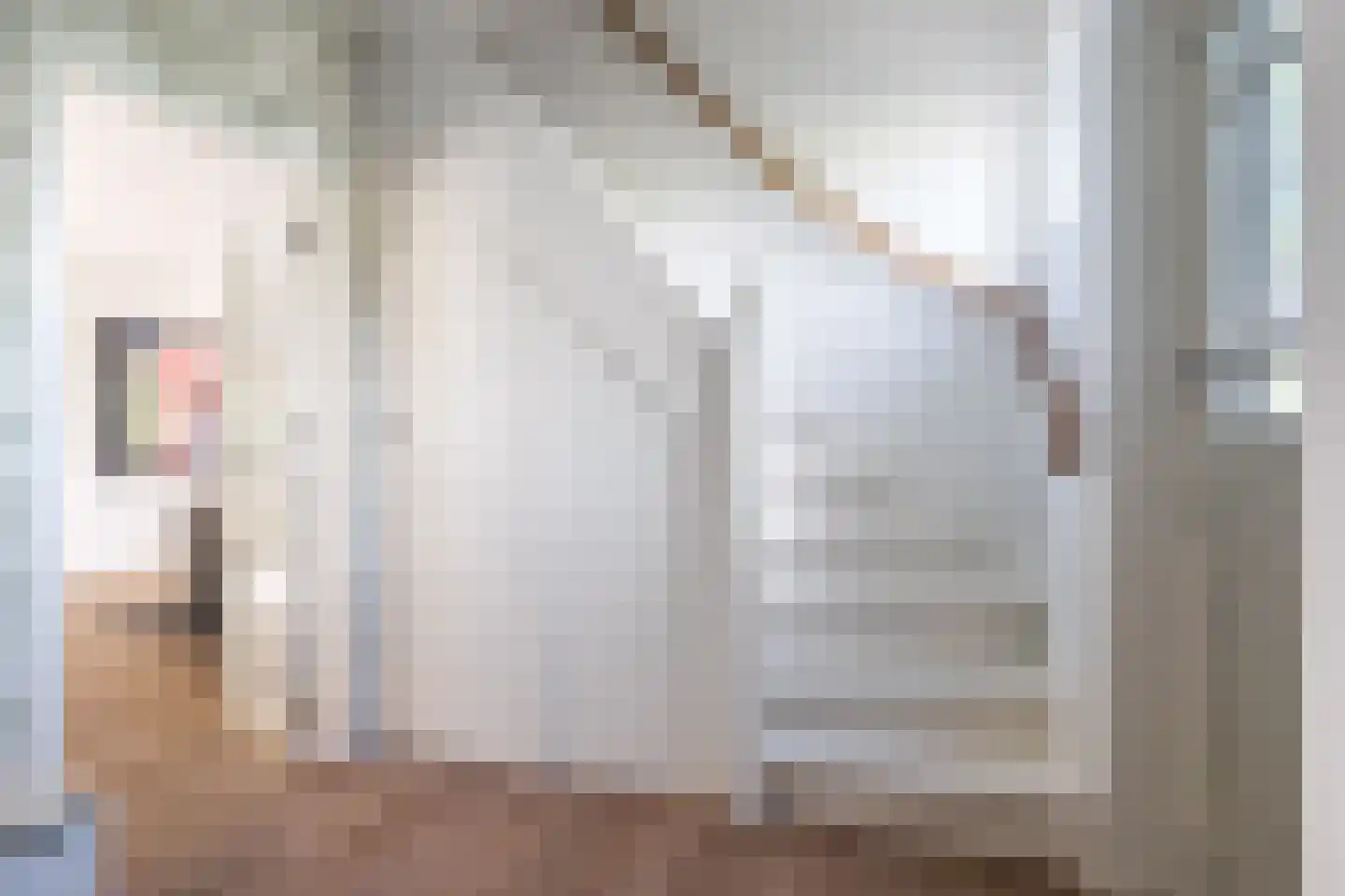 Allardsoogsterweg 11 Zevenhuizen thumbnail 27