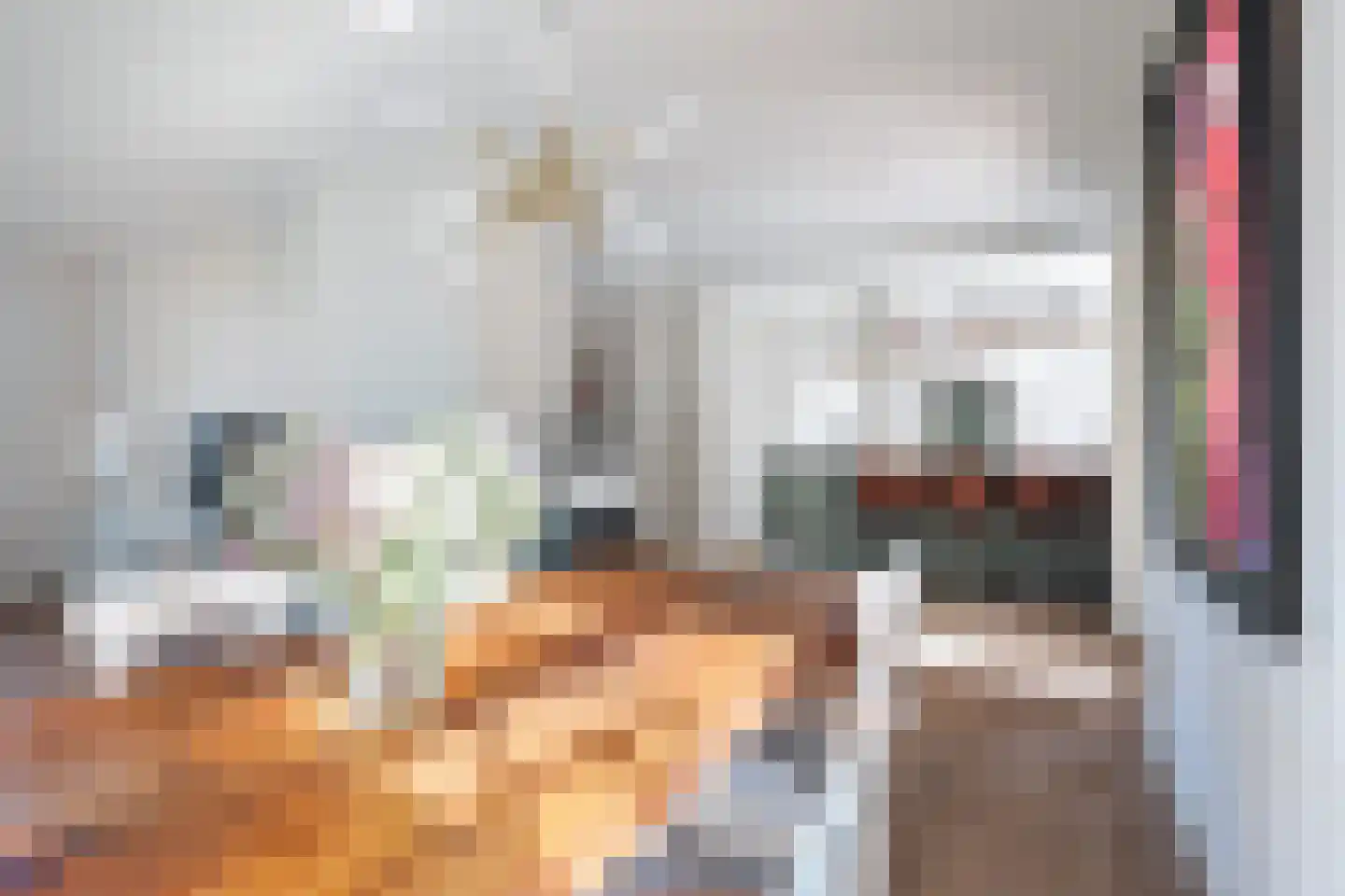 Allardsoogsterweg 11 Zevenhuizen thumbnail 32