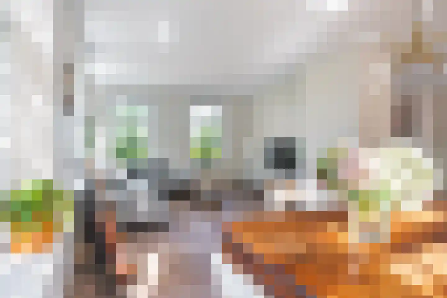 Allardsoogsterweg 11 Zevenhuizen thumbnail 33