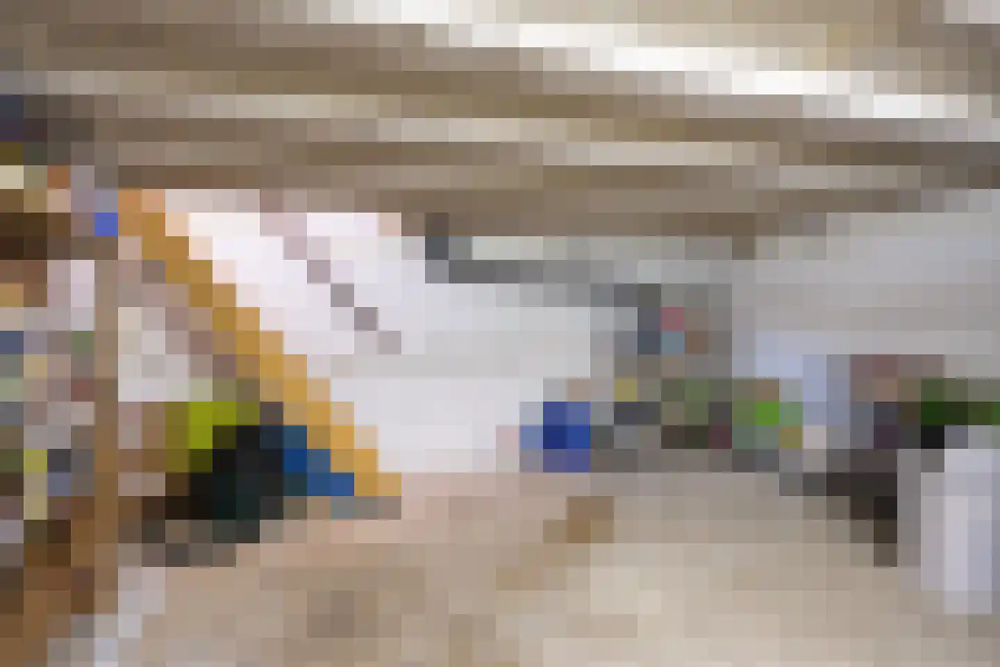 Allardsoogsterweg 11 Zevenhuizen thumbnail 39