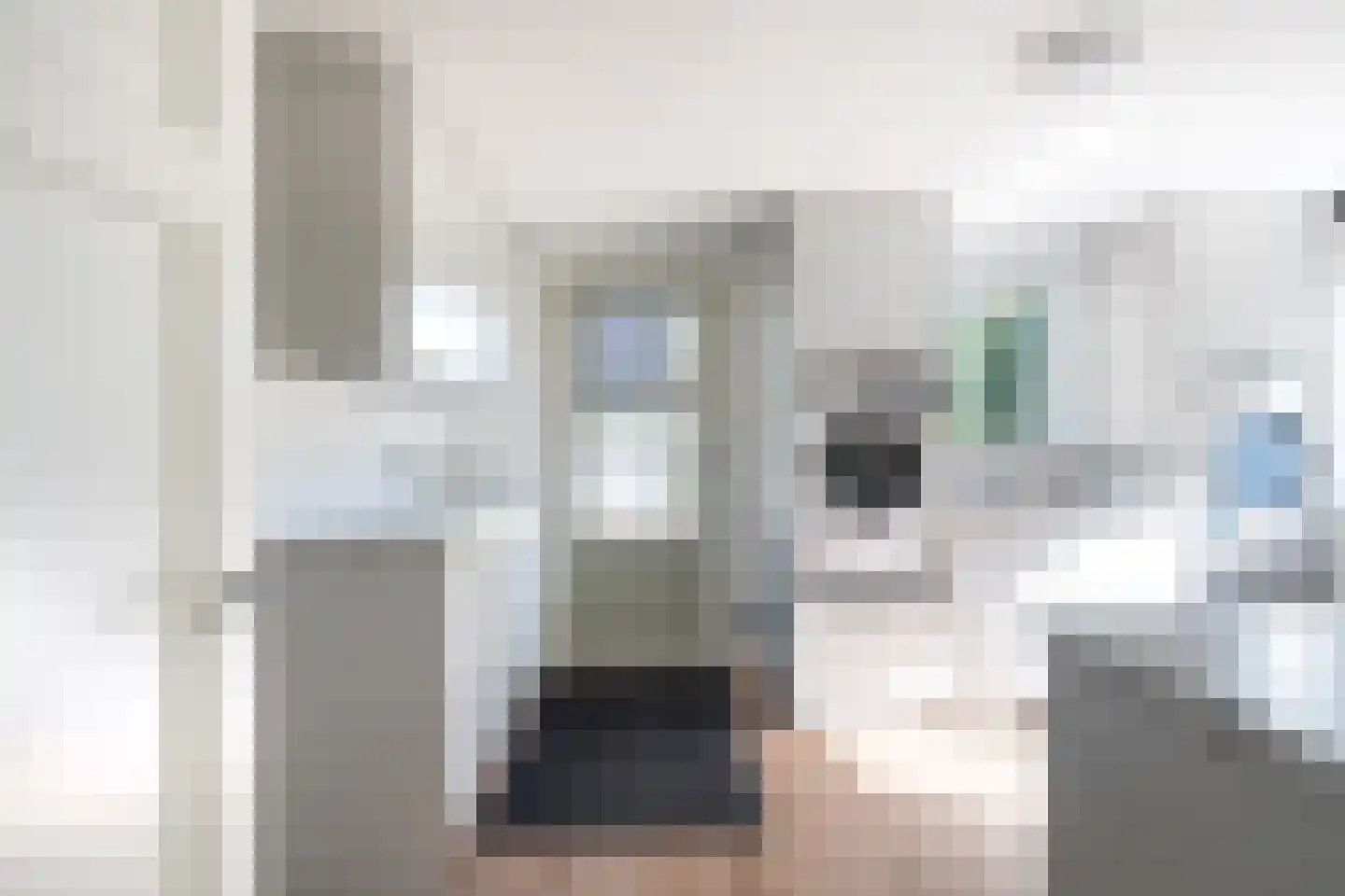 Allardsoogsterweg 11 Zevenhuizen thumbnail 40