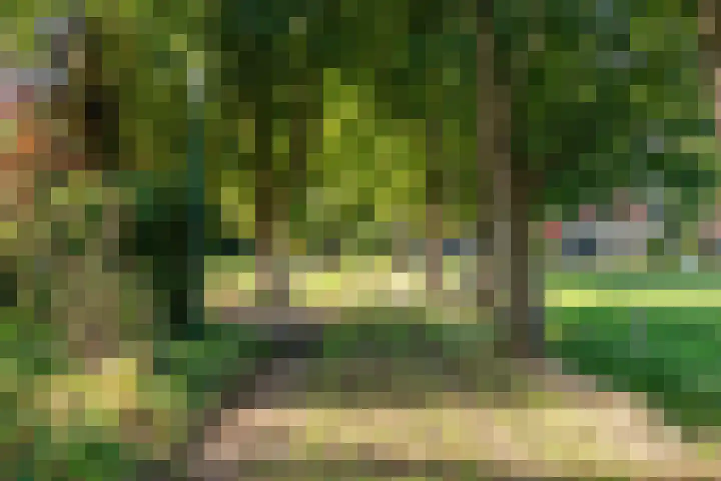 Allardsoogsterweg 11 Zevenhuizen thumbnail 5