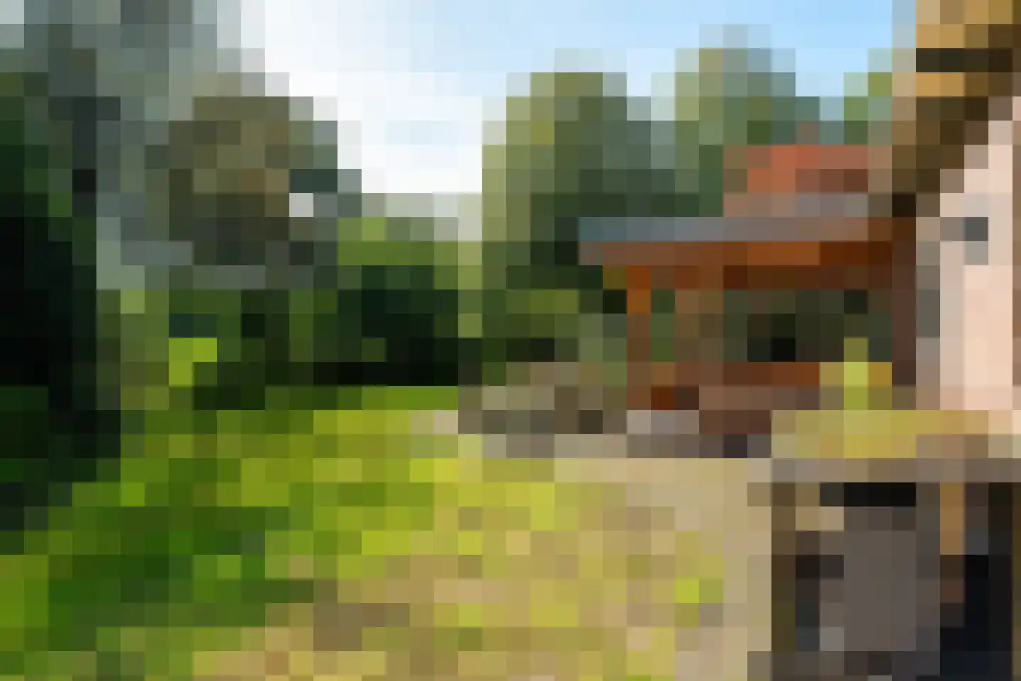 Allardsoogsterweg 11 Zevenhuizen thumbnail 53