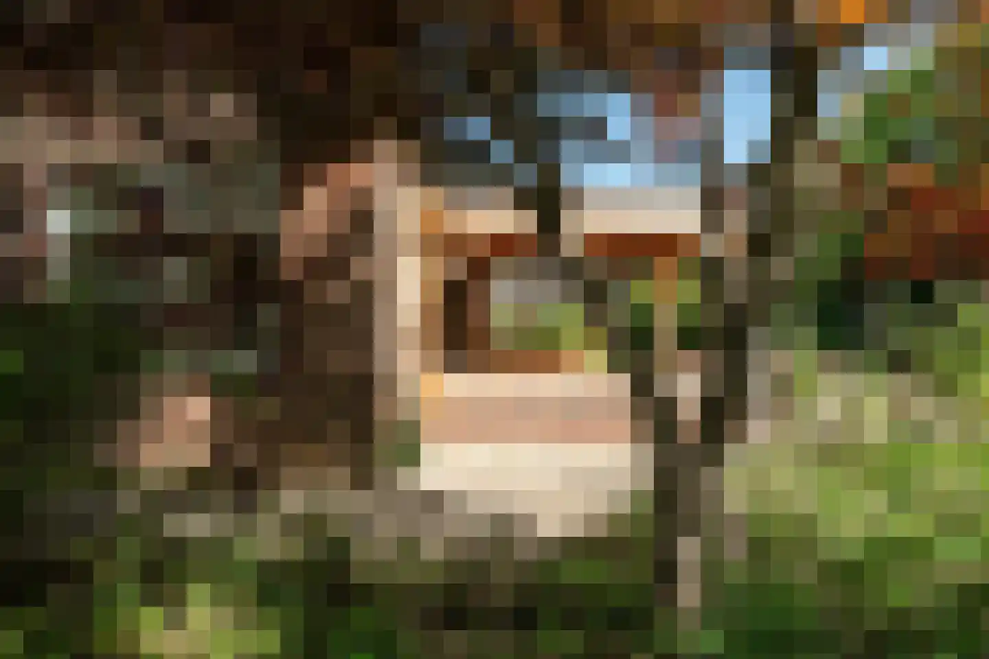 Allardsoogsterweg 11 Zevenhuizen thumbnail 56
