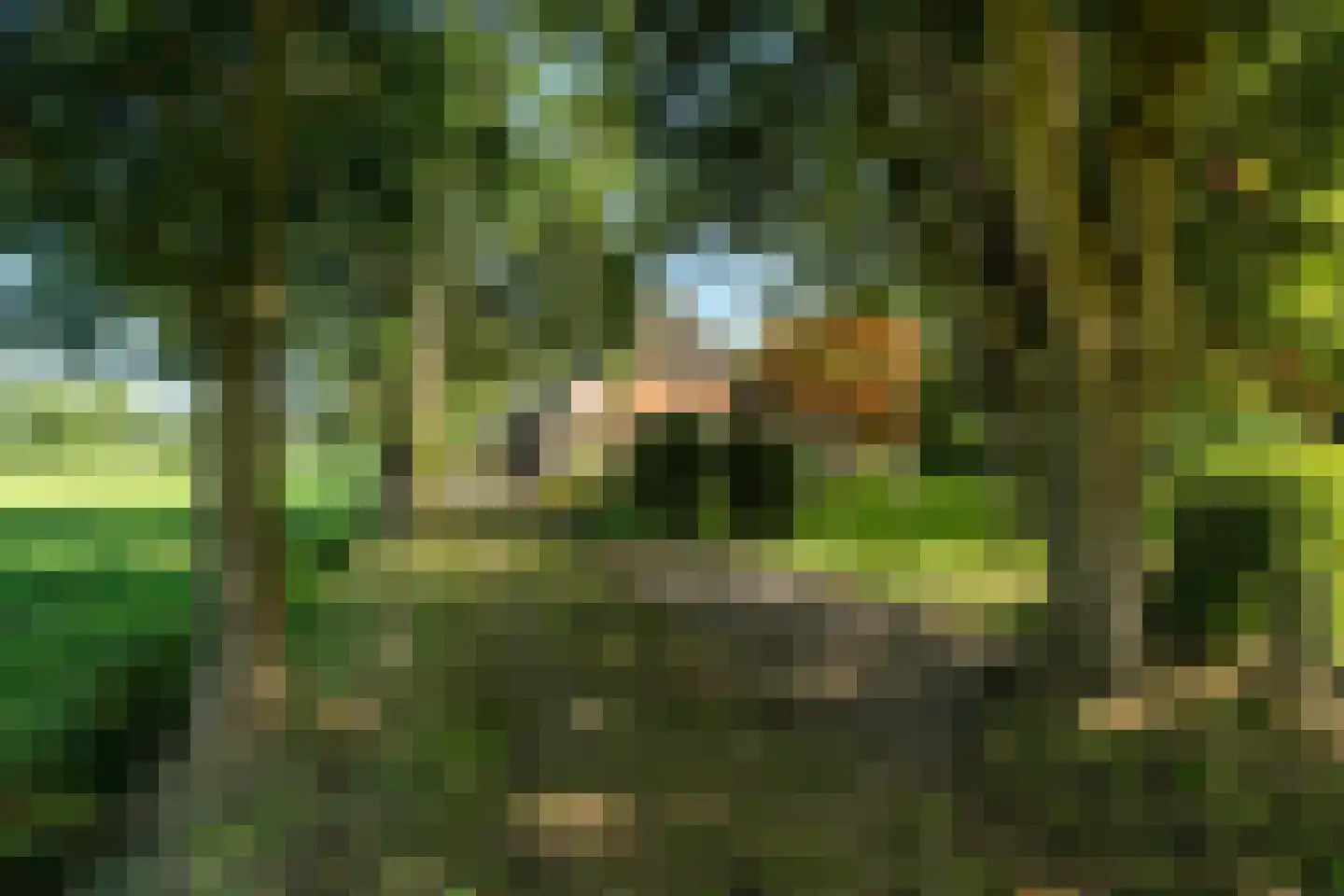 Allardsoogsterweg 11 Zevenhuizen thumbnail 57