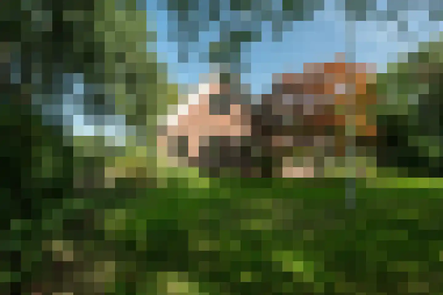 Allardsoogsterweg 11 Zevenhuizen thumbnail 58