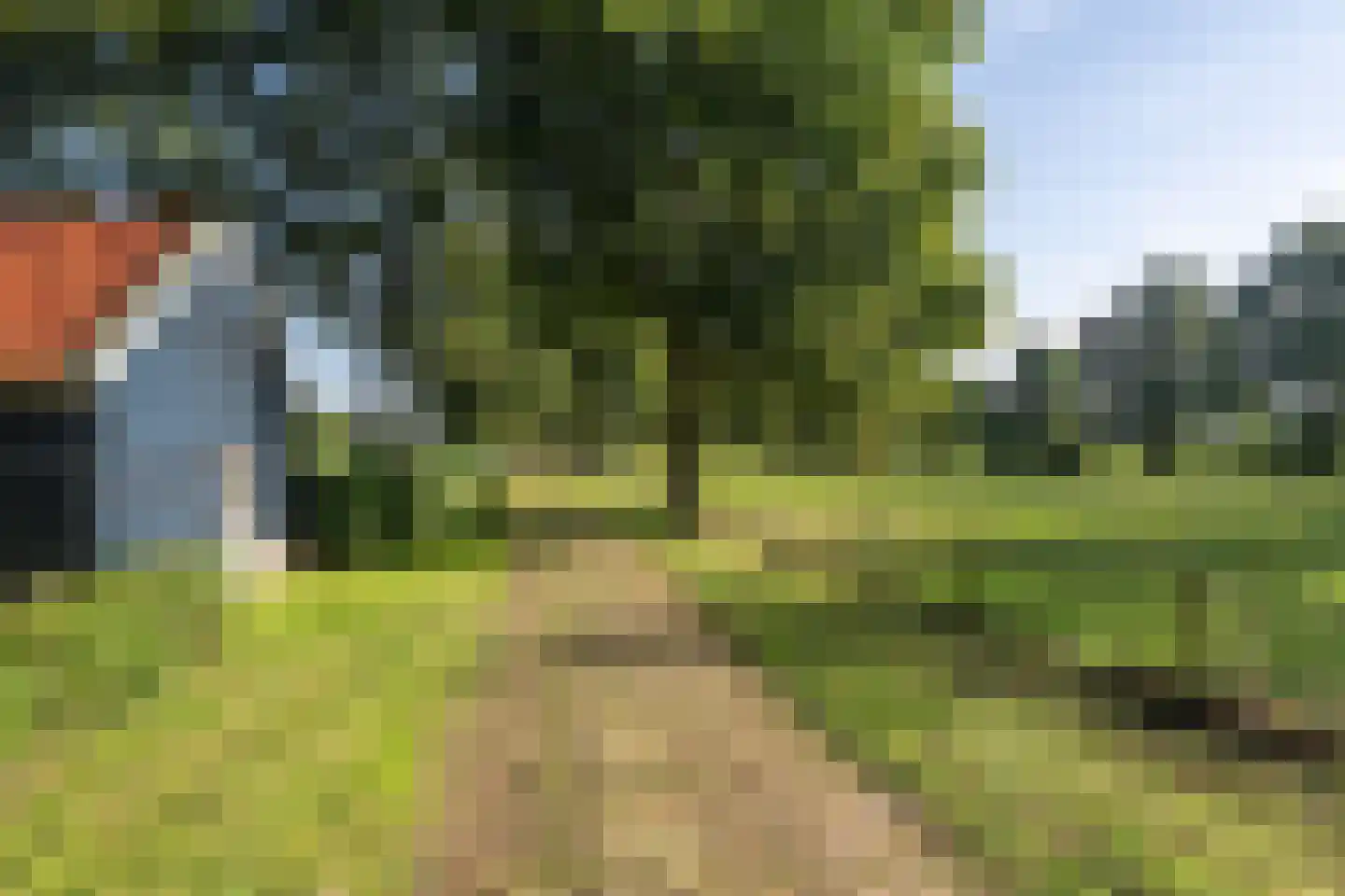 Allardsoogsterweg 11 Zevenhuizen thumbnail 6