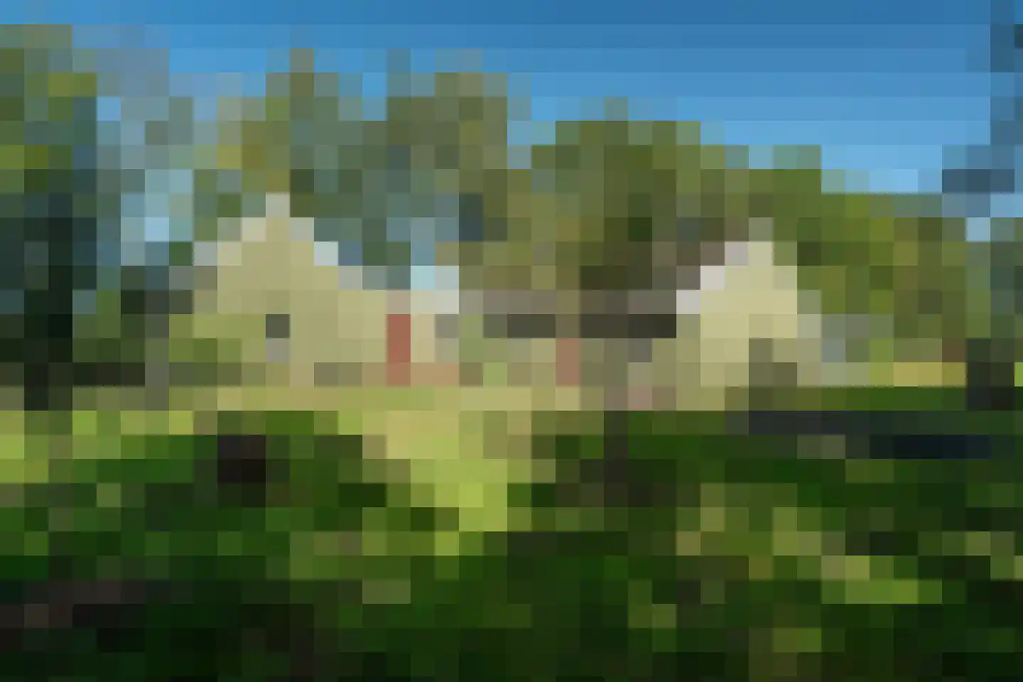 Allardsoogsterweg 11 Zevenhuizen thumbnail 60