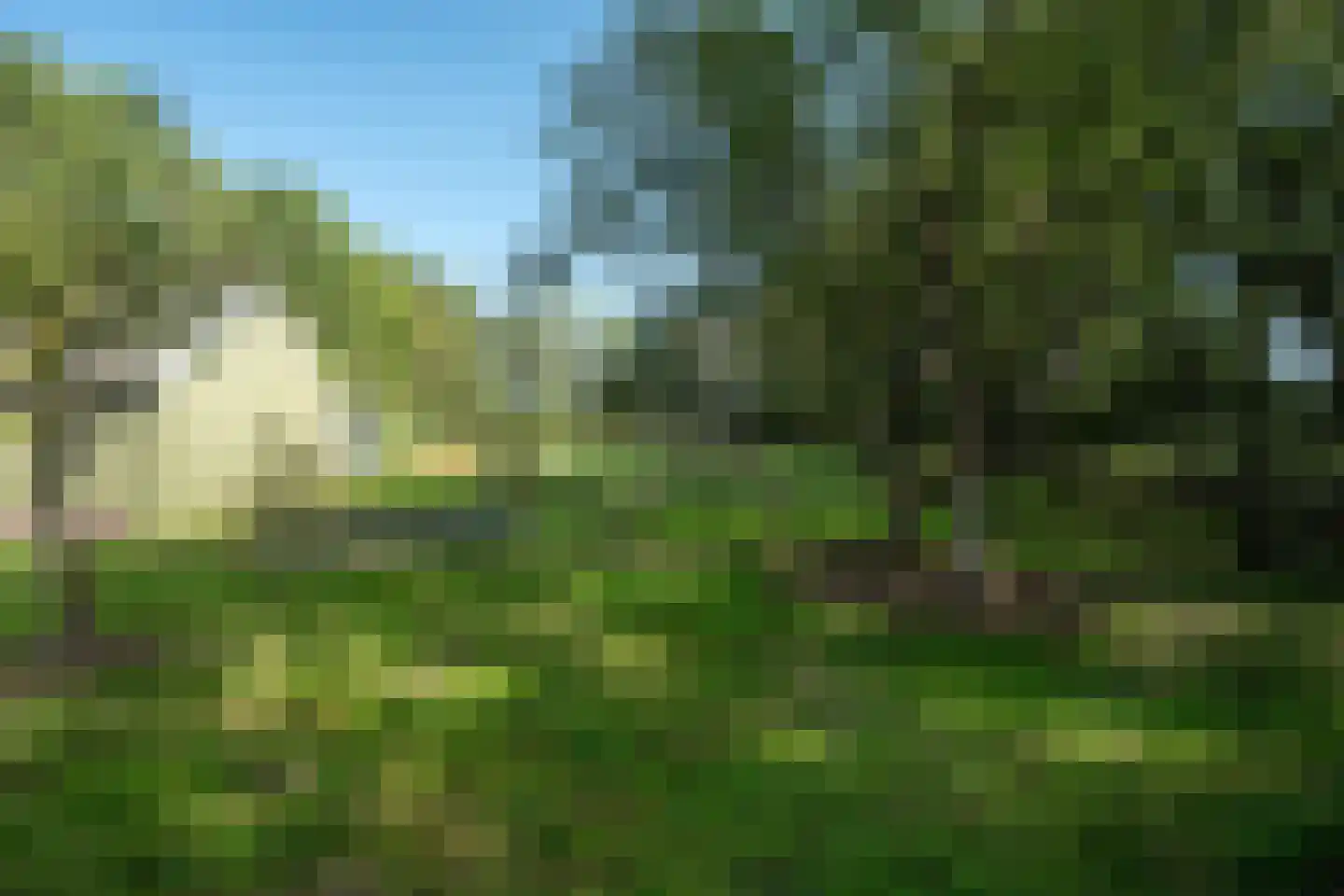 Allardsoogsterweg 11 Zevenhuizen thumbnail 61