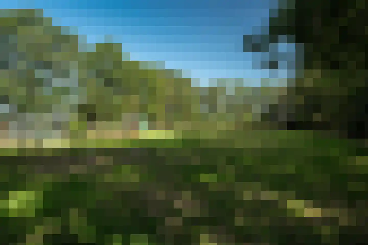 Allardsoogsterweg 11 Zevenhuizen thumbnail 63