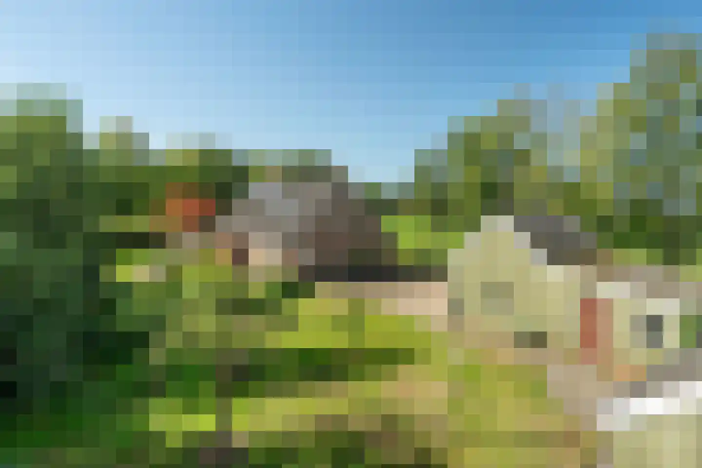 Allardsoogsterweg 11 Zevenhuizen thumbnail 64
