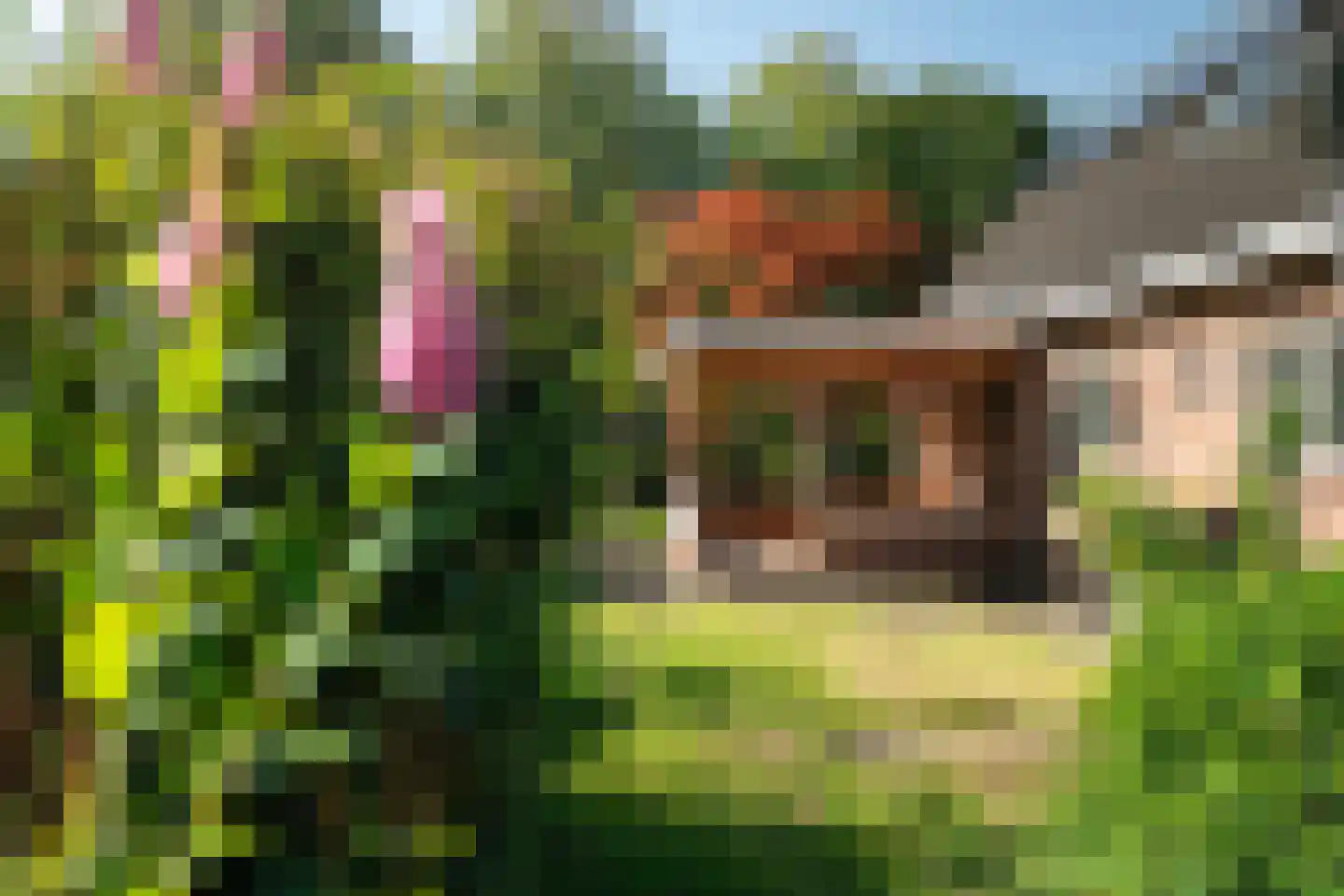 Allardsoogsterweg 11 Zevenhuizen thumbnail 65