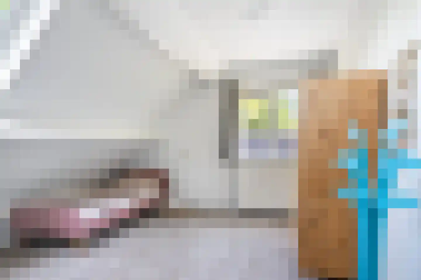 Allardsoogsterweg 11 Zevenhuizen thumbnail 76