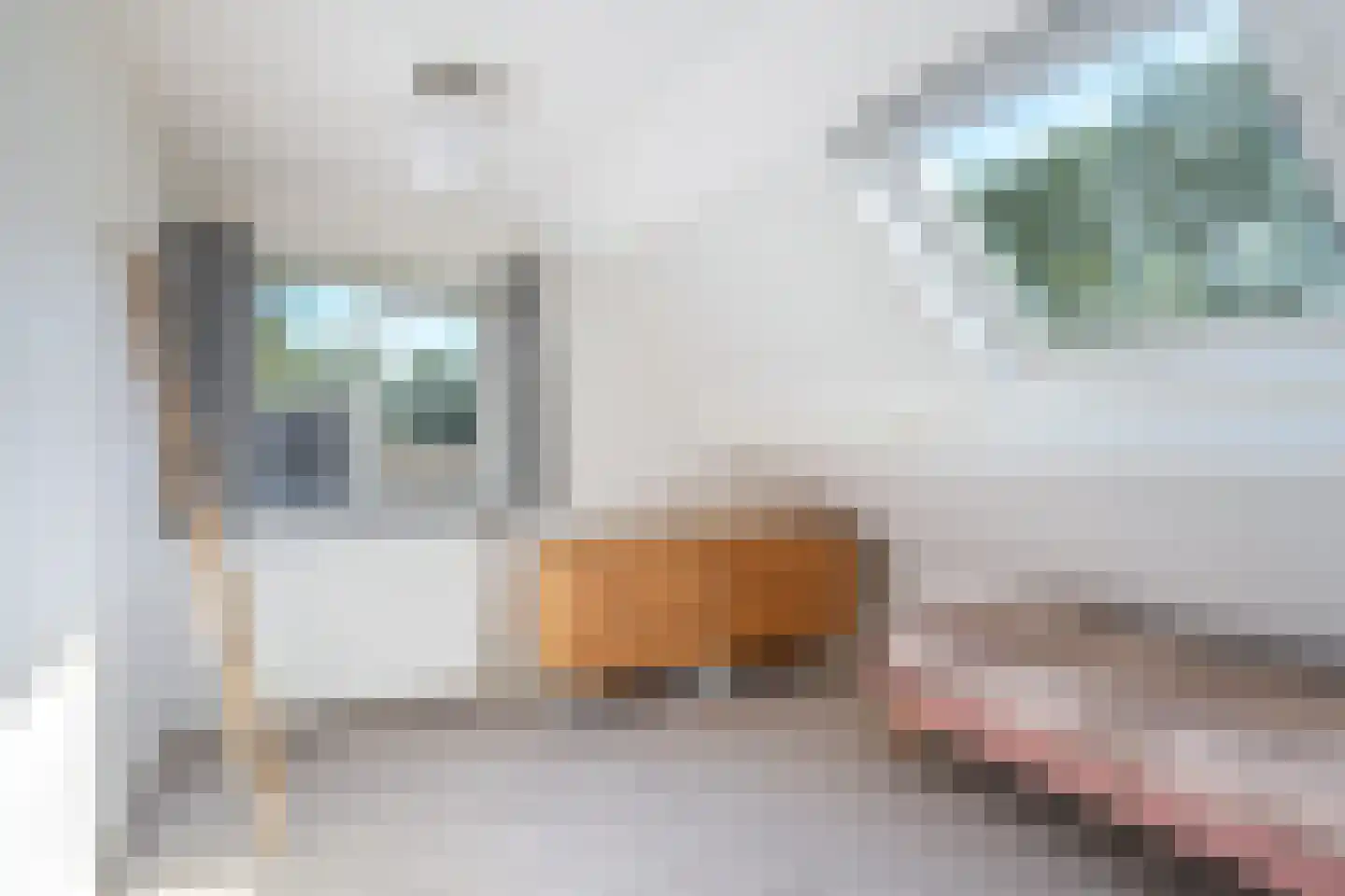 Allardsoogsterweg 11 Zevenhuizen thumbnail 78