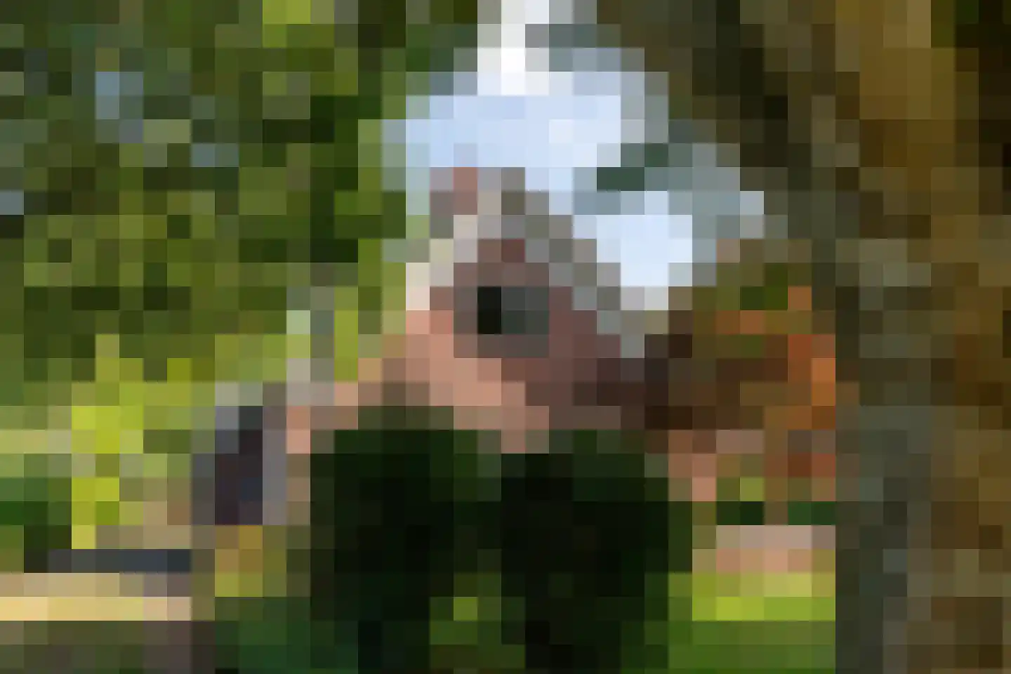 Allardsoogsterweg 11 Zevenhuizen thumbnail 8