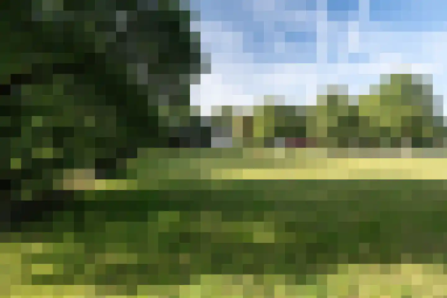 Allardsoogsterweg 11 Zevenhuizen thumbnail 81