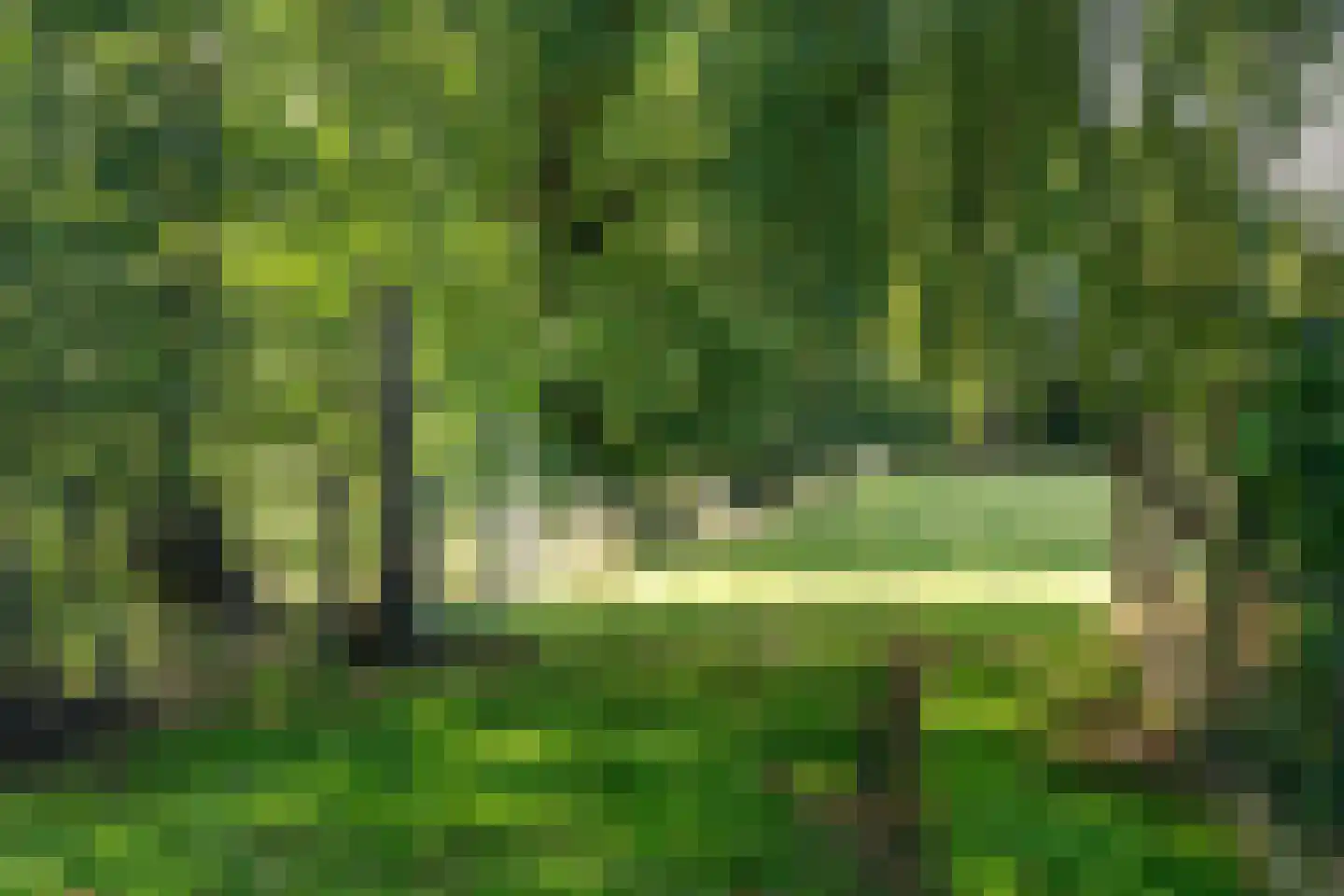 Allardsoogsterweg 11 Zevenhuizen thumbnail 83