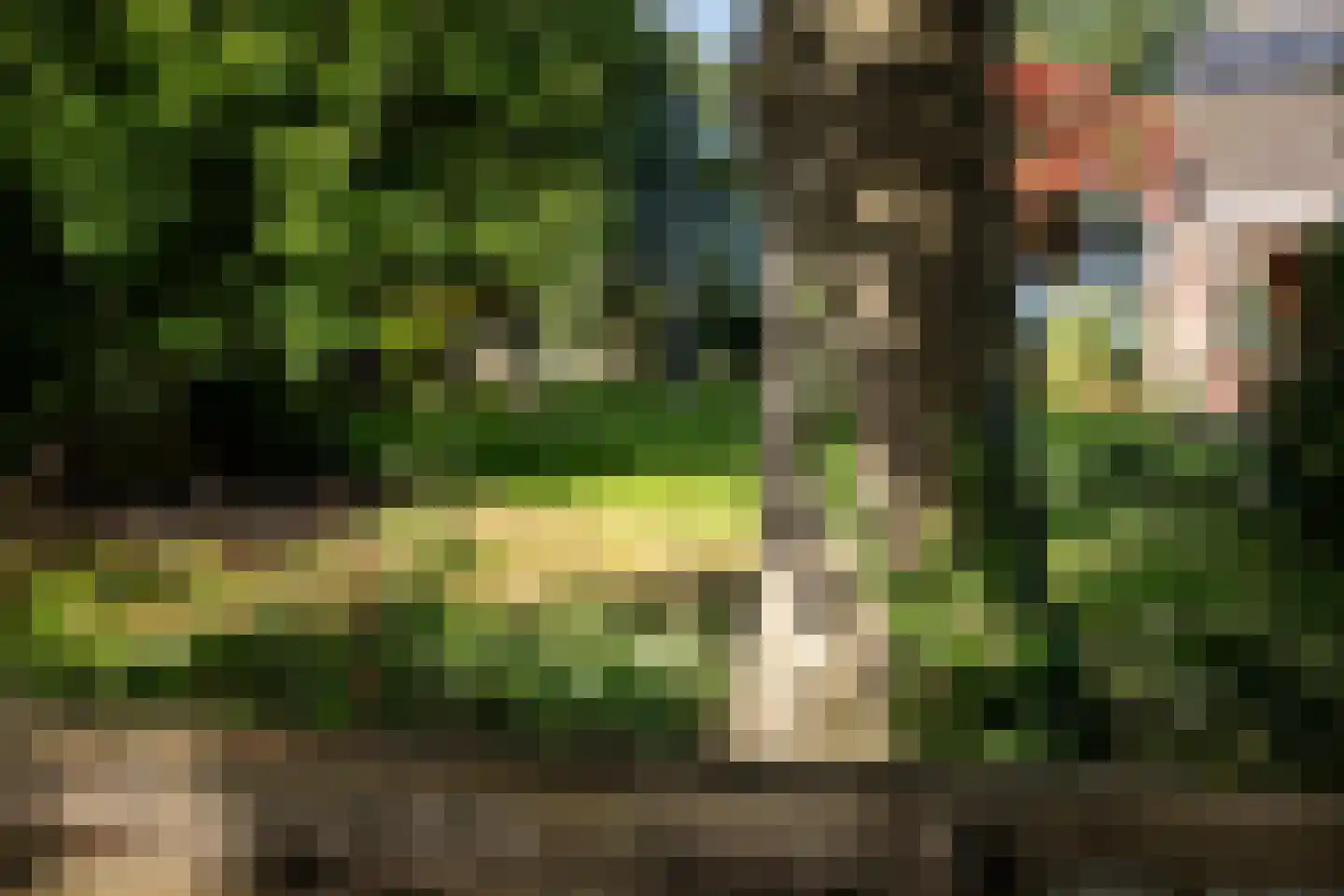 Allardsoogsterweg 11 Zevenhuizen thumbnail 84
