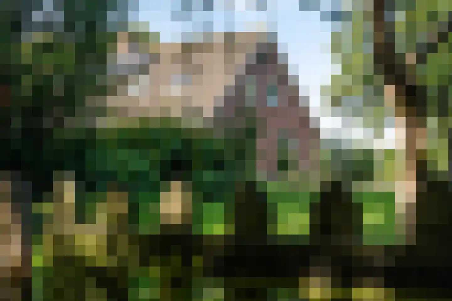 Allardsoogsterweg 11 Zevenhuizen thumbnail 85