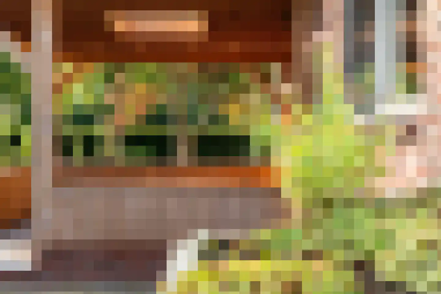 Allardsoogsterweg 11 Zevenhuizen thumbnail 86